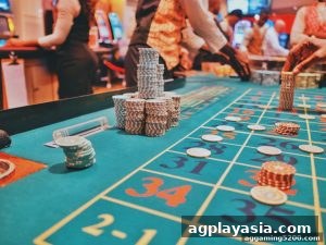 AG真人 agplayasia