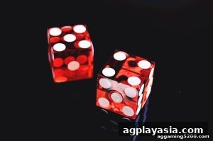 AG真人 agplayasia